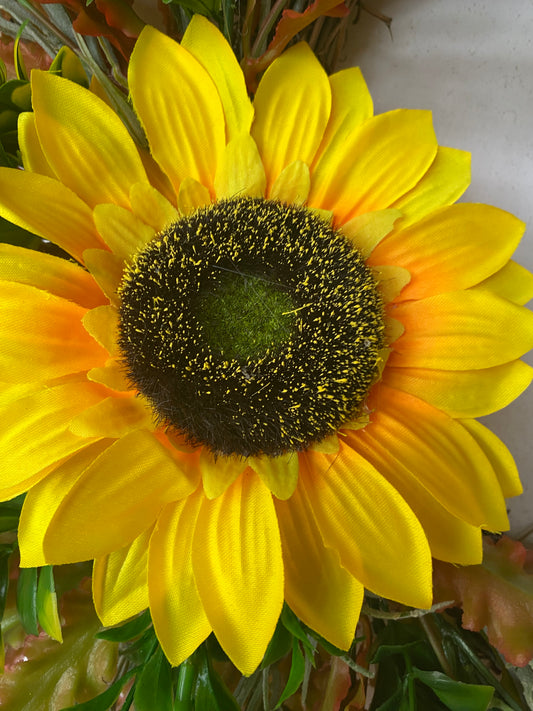 Sunflower Meadow
