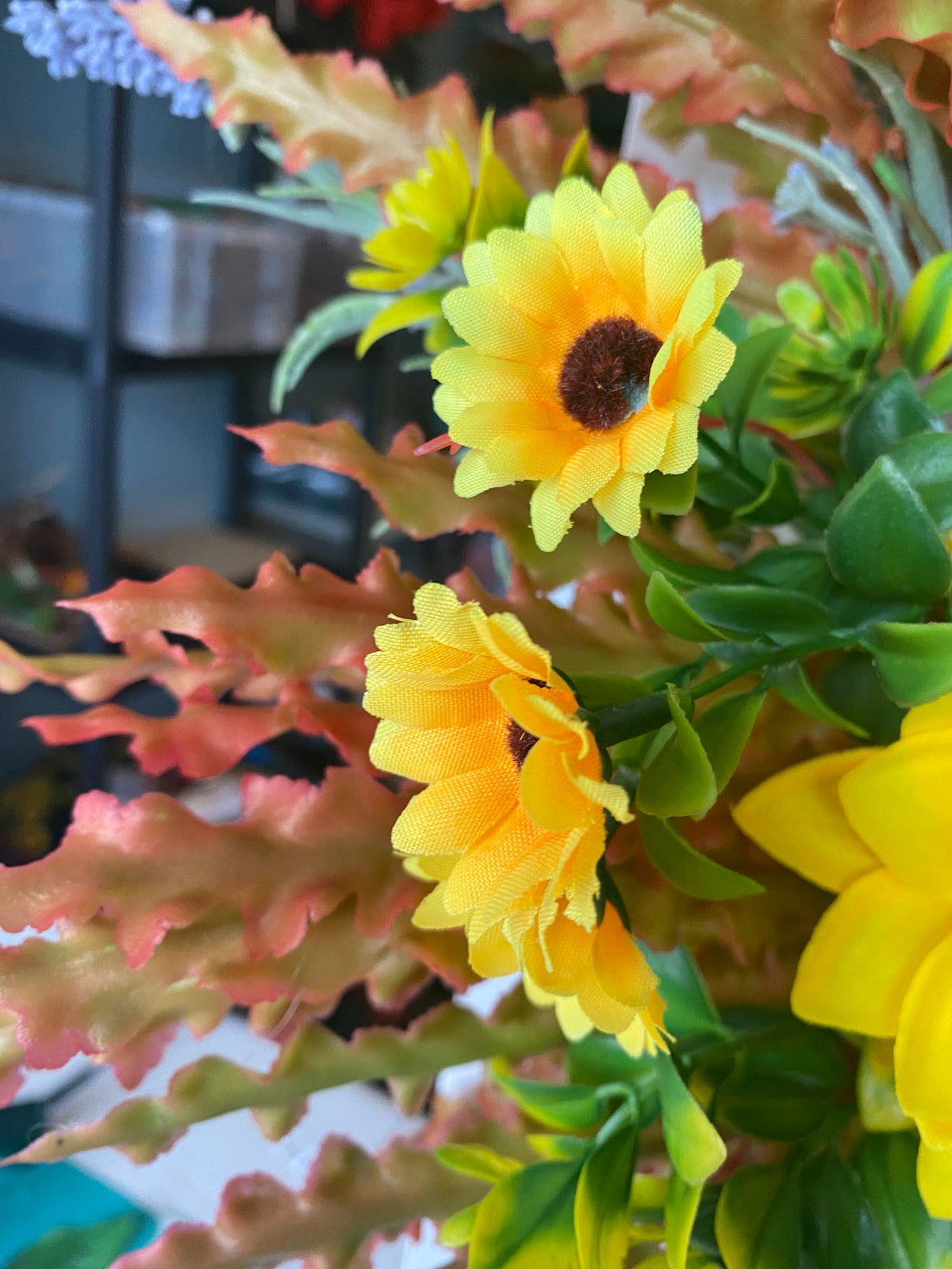 Sunflower Meadow